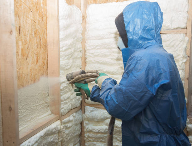 Eco-Friendly or Green Insulation Solutions in Ashville, AL